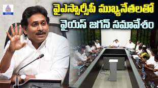 YS Jagan Mohan Reddy Meeting on YSRCP Members