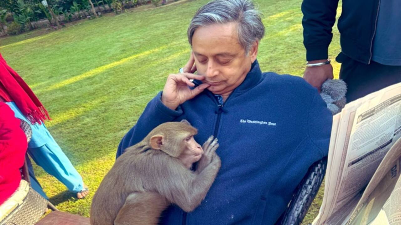 Shashi Tharoor 