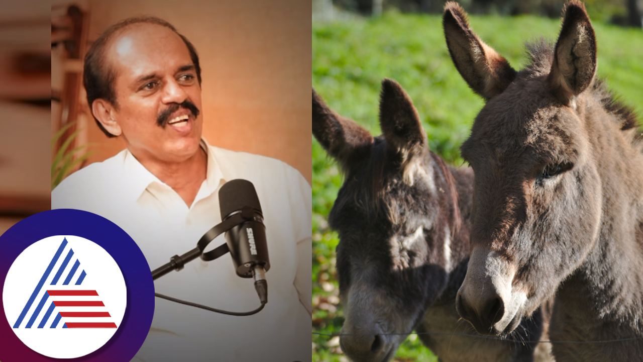 veterinarian Dr  Jagannath has given interesting information about benefits of donkey milk suc