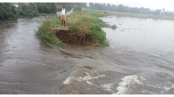 paddy farm faces threat after heavy rain in Alappuzha