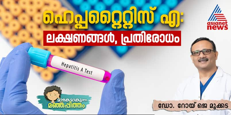 Hepatitis A symptoms prevention and food safety article by Dr Roy J Mukkada 