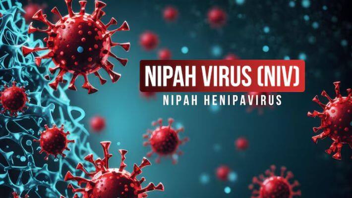 Nipah Virus