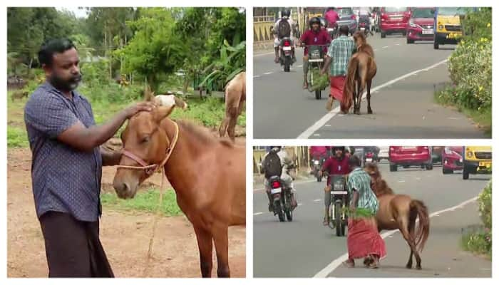 drunken caretaker with chained horse on MC Road  seller said he was sad horse was bought back