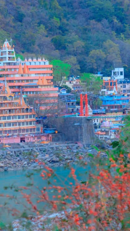 Ashrams with free accommodation