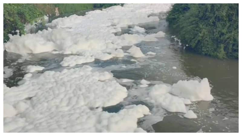 Toxic Foam In Tamil Nadu's Hosur After Dam Discharges Surplus Water