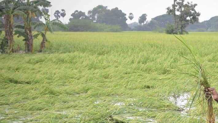 Tamil Nadu Weather-Cyclone Fengal Update: 3 Days Holiday For Schools ...