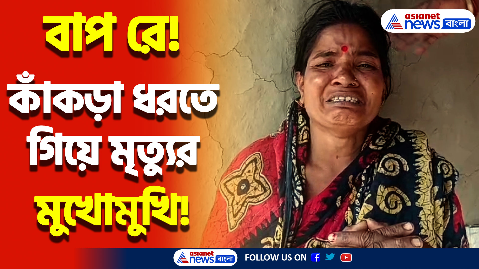 ফের সুন্দরবনে বাঘের ভয়াল থাবা! কাঁকড়া ধরতে গিয়ে মৃত্যুর মুখে যুবক! দেখুন