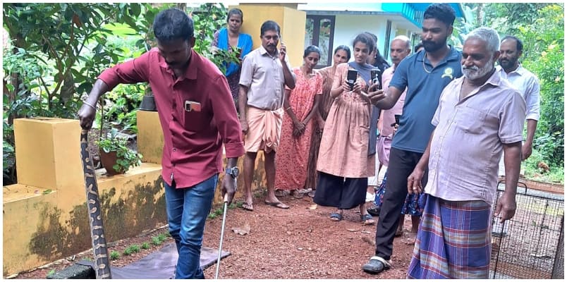 Snake caught while trying to enter dog cage in Alappuzha