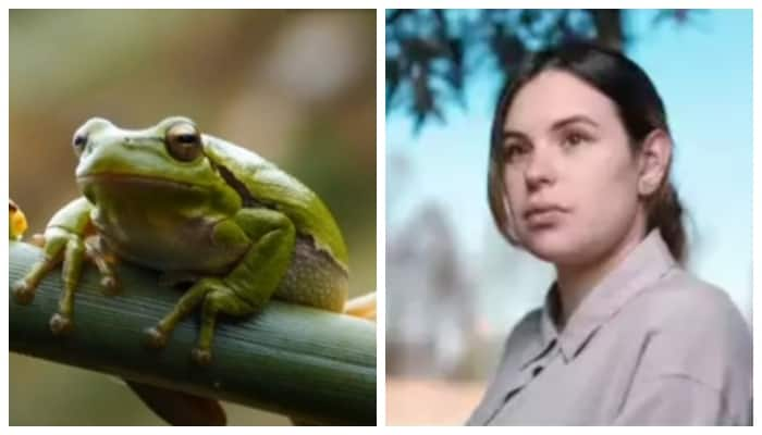 Mexican actress dies after drinking a drink containing frog poison during healing 