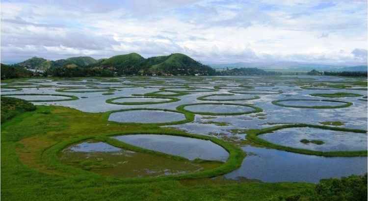 THIS is world's only floating national park; Know about this park situated in India's Manipur state ATG