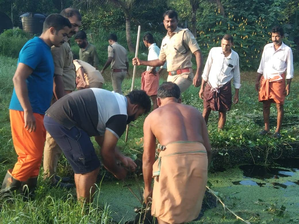 cow fell into the pond twice  rescued by kerala fire force