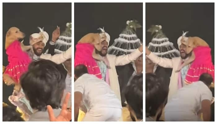 groom s dance with his beloved pet dog during the wedding procession has gone viral on social media