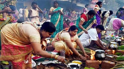 Pongal gift 2025: Date, eligibility, cash benefits for ration card holders