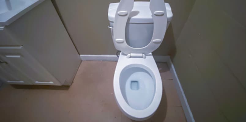 How to Clean Your Toilet Seat Without a Brush Using This Simple Hack