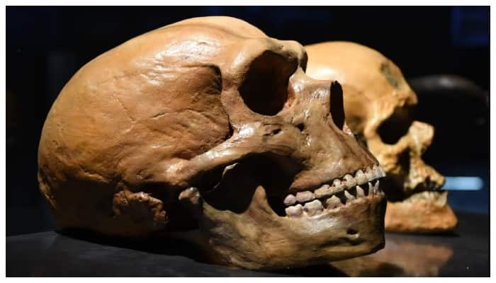 Homo juluensis new human species Asia s human history goes back three hundred thousand years 