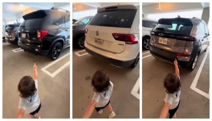 video of a two year old boy identifying car brands has gone viral