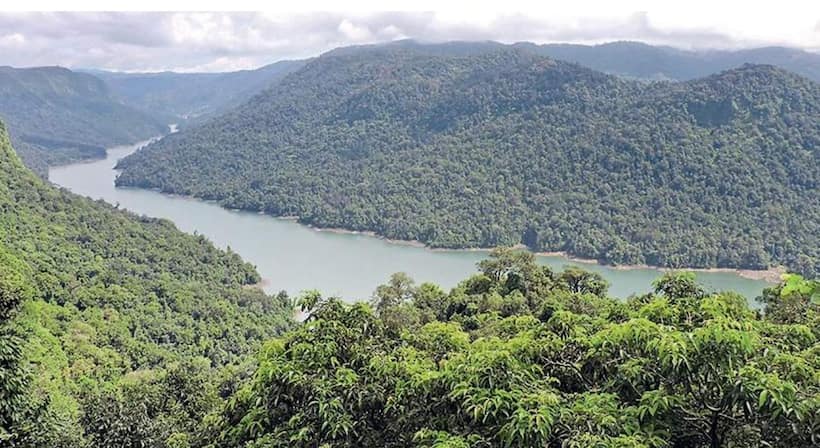 Karnataka: 14,000 trees to be cut, drilling and blasting planned in western ghats for Sharavathi project
