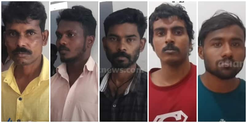 Green cardamom theft in Idukki after price hike Five people arrested