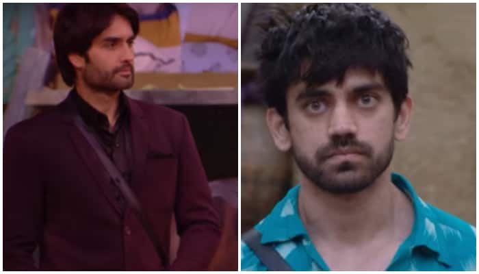  Bigg Boss 18: Avinash Mishra stuns everyone by nominating best friend Vivian Dsena [WATCH] NTI