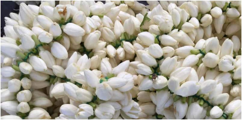 Jasmine price rises to over Rs 4500 per kg in tamilnadu 