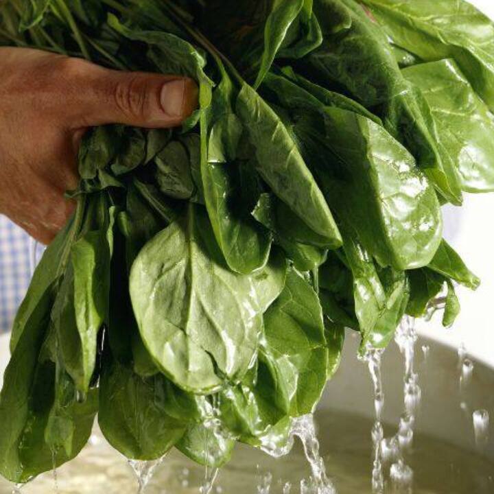 Spinach : రోజూ పాలకూర తింటే ఏమౌతుందో తెలుసా..?