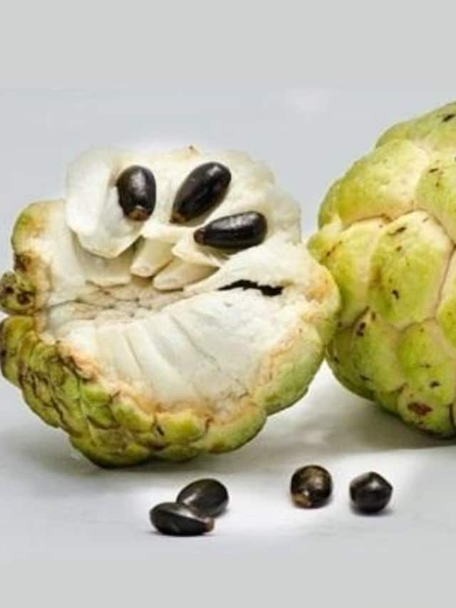 Who Should Avoid Custard Apple Consumption rav