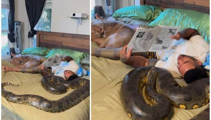 US man casually reads on bed as giant python, pitbull lie beside him; WATCH chilling video