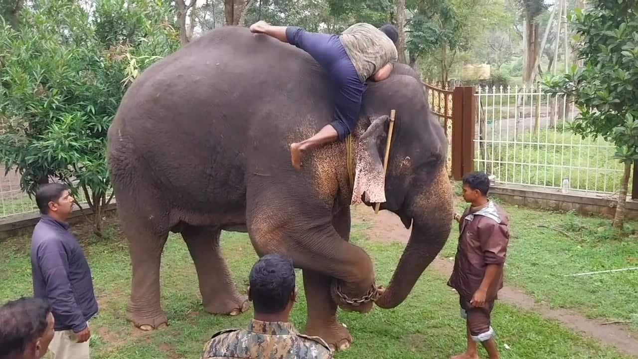 Special training for forest staff of Andhra Pradesh at Dubare Elephant Camp, Karnataka rav