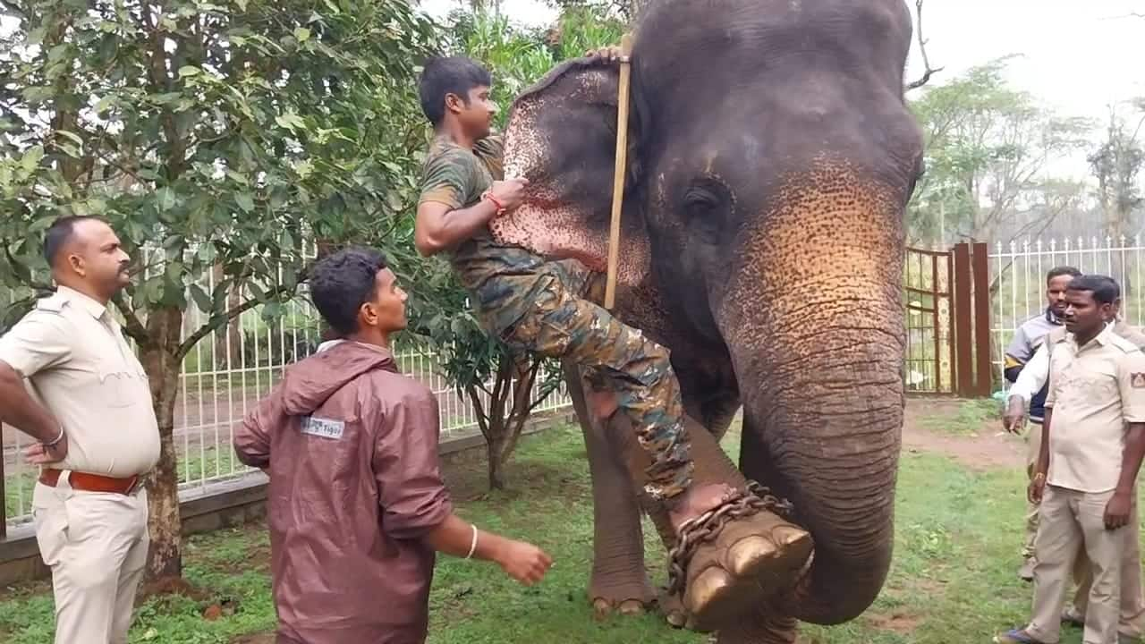 Special training for forest staff of Andhra Pradesh at Dubare Elephant Camp, Karnataka rav