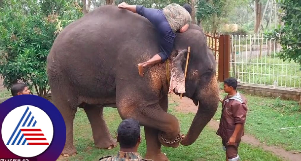 Special training for forest staff of Andhra Pradesh at Dubare Elephant Camp, Karnataka rav