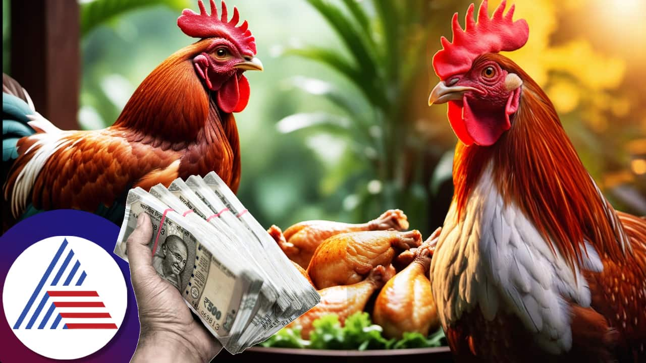 Bank manager promise loan and eats rs 39000 worth organic chicken from farmer chhattisgarh ckm