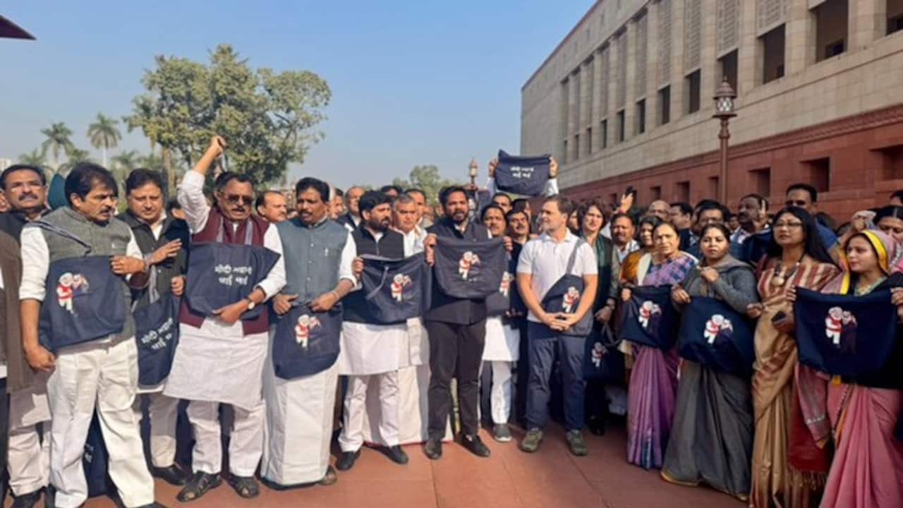 Congress MPs protested outside Parliament 