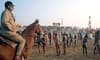 Mounted Police Deployment at Prayagraj Mahakumbh 2025 for Crowd Control