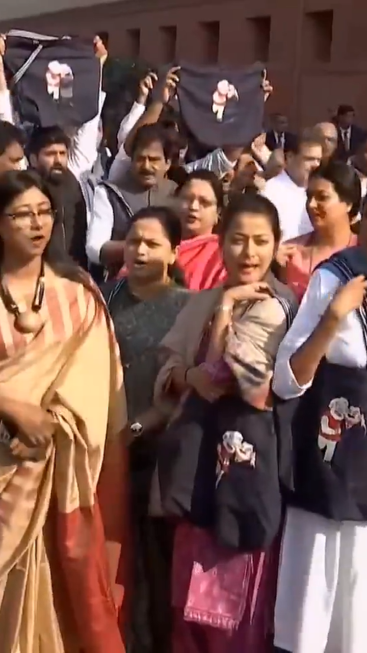 ಕಾಂಗ್ರೆಸ್ ಅದಾನಿ ಆರೋಪಕ್ಕೆ ಬಿಜೆಪಿಯಿಂದ ಜಾರ್ಜ್ ಸೊರೋಸ್ ಪ್ರತ್ಯಸ್ತ್ರ: ಯಾರಿತಾ? ಬಿಜೆಪಿ ಆರೋಪವೇನು