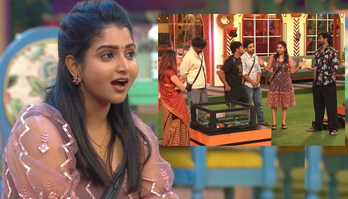 Bigg Boss Telugu Season 8: Kavya Stuns with Her Bold Moves, Teases Avinash, and Plays Games with the HousematesJMS