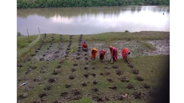 World Soil Day: Combating Degradation with Nature-Based Solutions