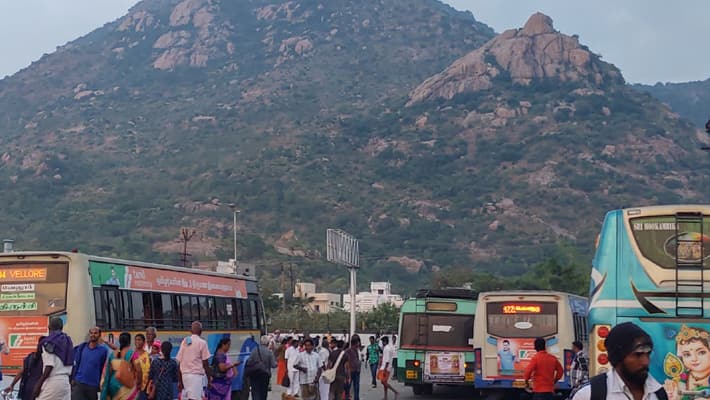 Tiruvannamalai Maha deepam Festivel! Special buses announcement tvk