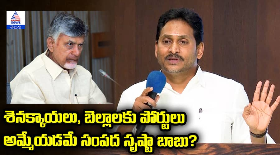 YS Jagan Shocking Comments about Chandrababu Naidu