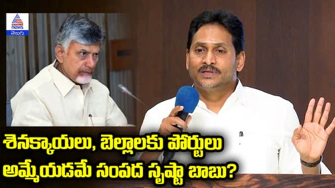 YS Jagan Shocking Comments about Chandrababu Naidu