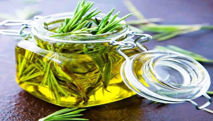 amazing health benefits of drinking rosemary water daily in tamil mks