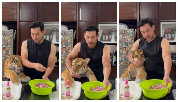 Video of feeding a tiger cub goes viral 