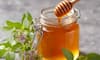 benefits of having neem tulsi with honey in the morning