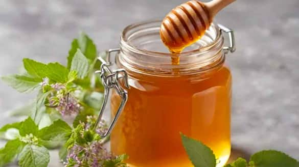 benefits of having neem tulsi with honey in the morning