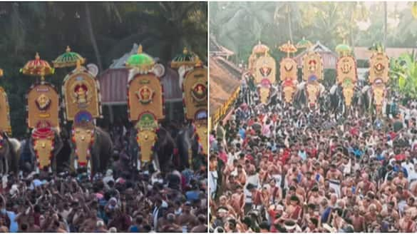 Elephant procession without following High Court instructions forest department registered a case against the management of Kizhur Pooram