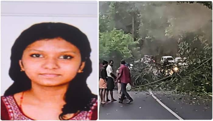 wild elephant huge tree was turned on the college students who were going on bikes at kothamangalam