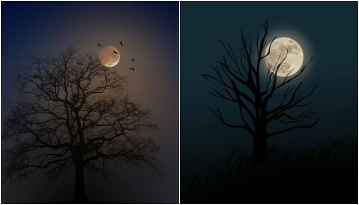 Cold Moon 2024: Can it be seen from India? Know date, time, significance ATG