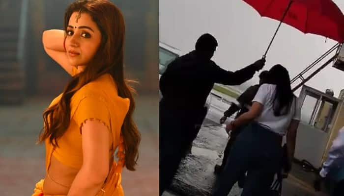 fans trolls actress Trisha for rift in actor thalapathy vijay family 