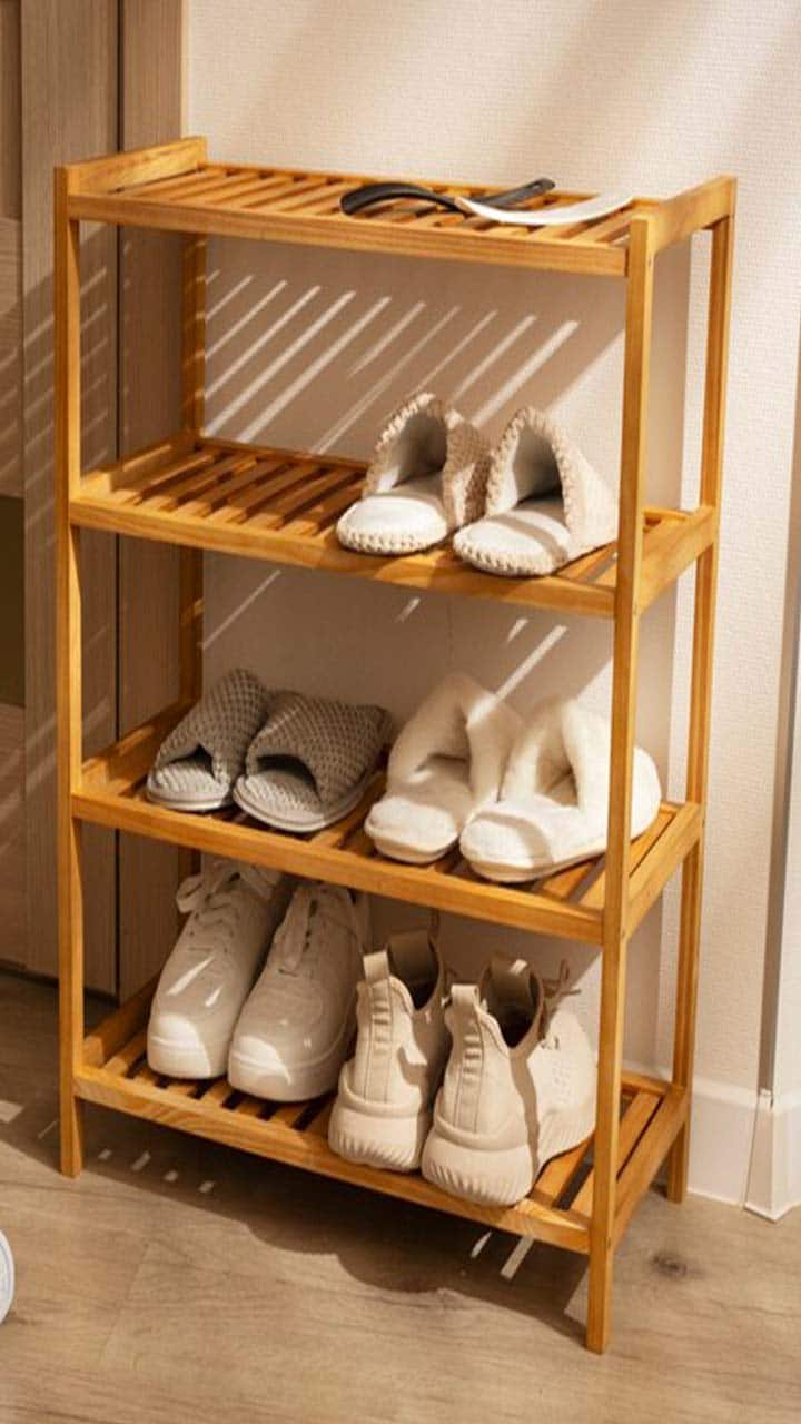 Vastu Tips for Shoe Placement in Your House rsl