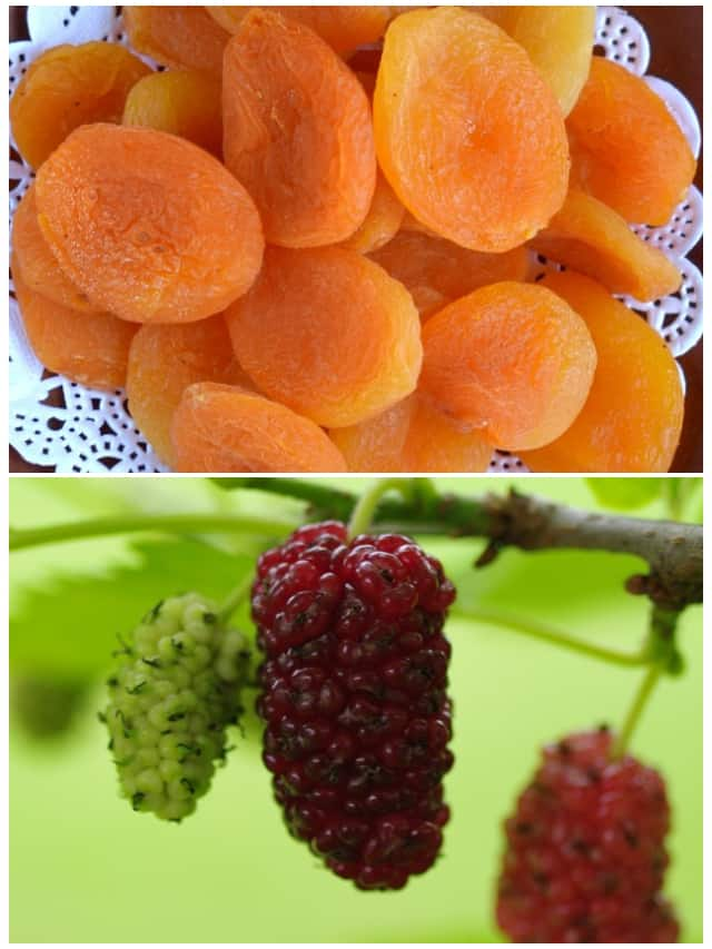 7 Iron Rich Fruits for Health suh