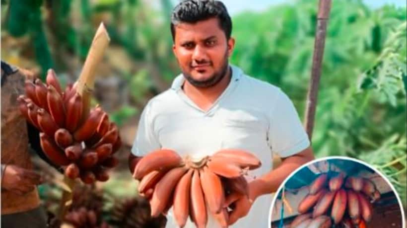 Asianet Image